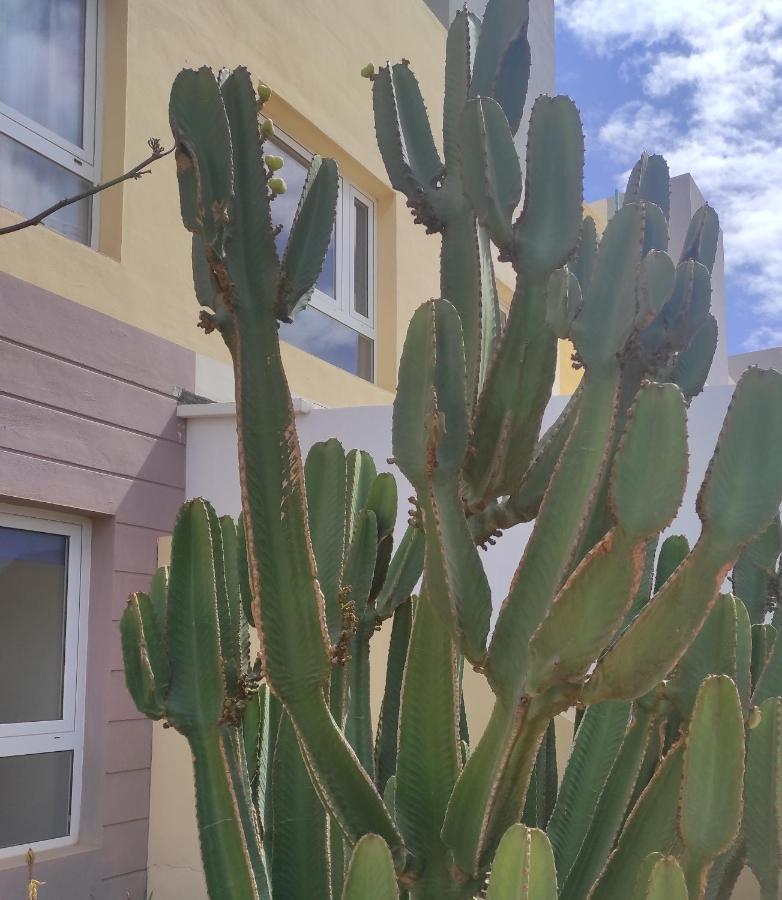 דירות פוארטו דל רוסריו Apartamento Con Azotea Privada #Thefunnycactus מראה חיצוני תמונה